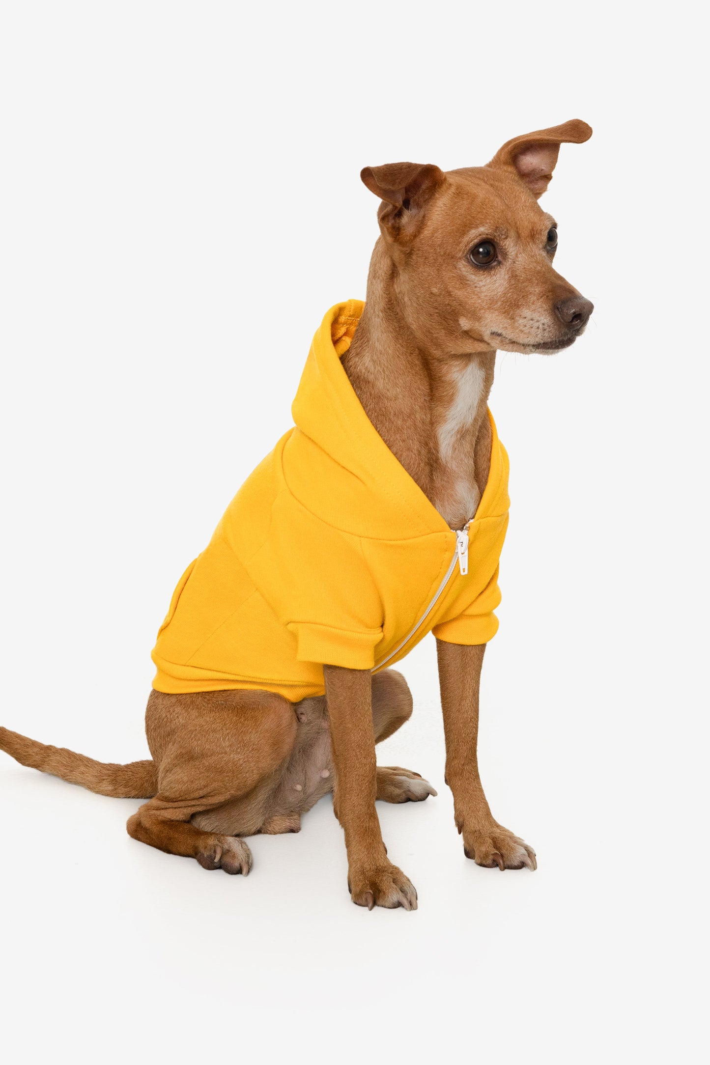 FF997 - Flex Fleece Dog Zip Hoodie