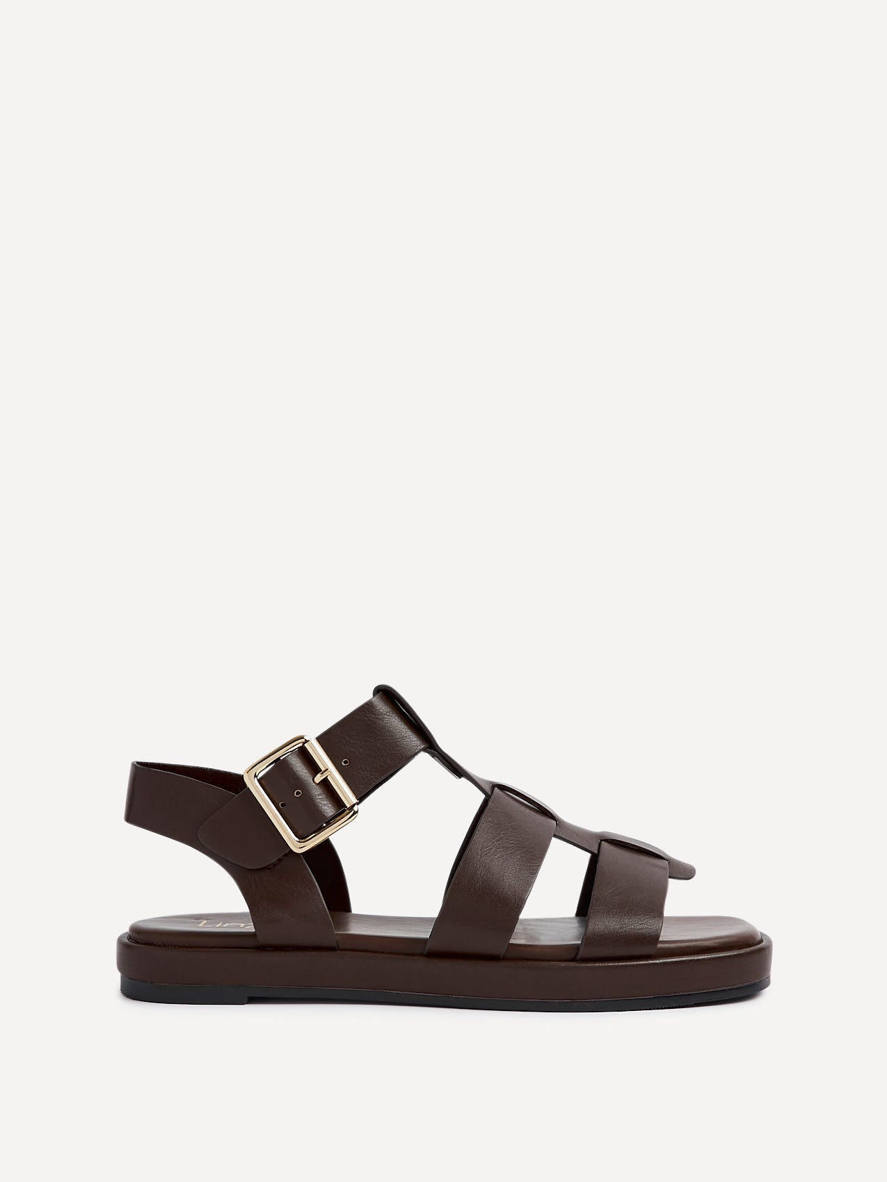 Camden Brown Gladiator Sandals