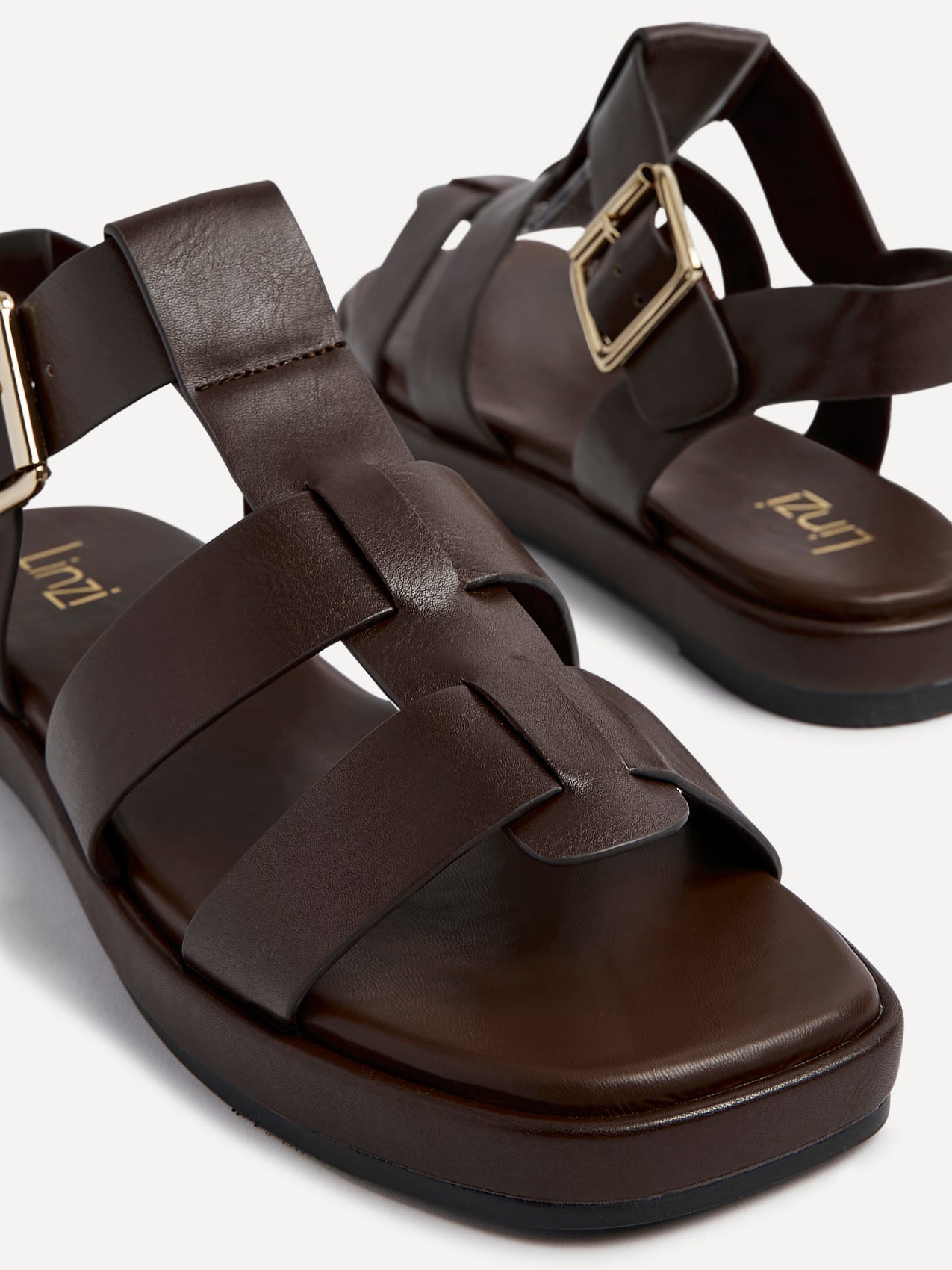 Camden Brown Gladiator Sandals