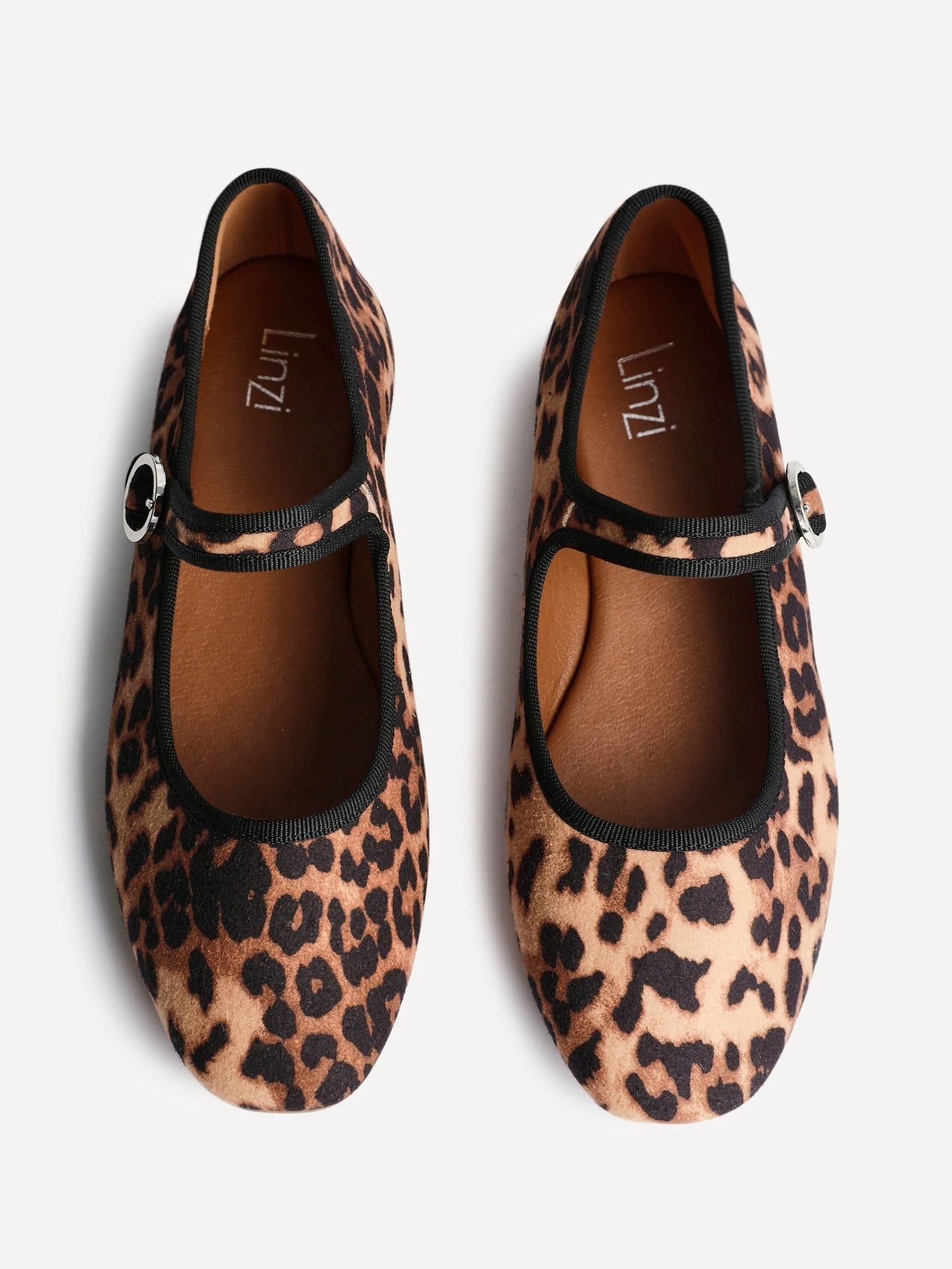 Graceful Leopard Print Ballet Pumps
