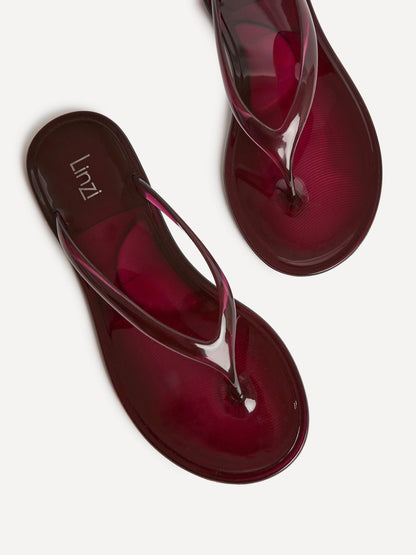 Marine Burgundy Jelly Flip Flops