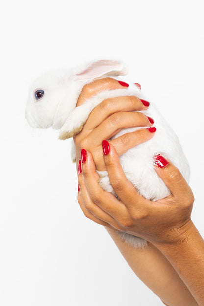 NAILPOLISH - Nail Polish