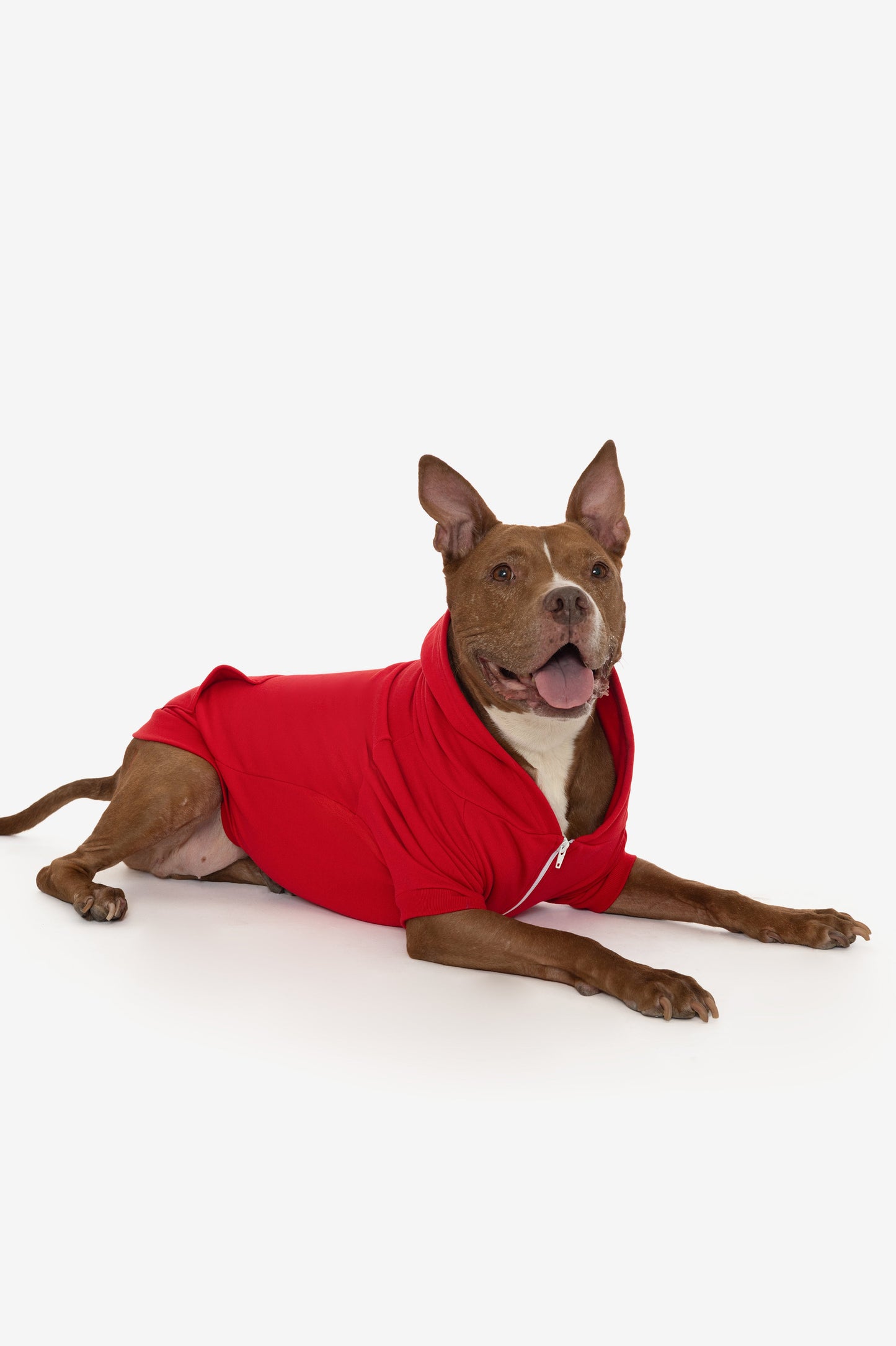 FF997 - Flex Fleece Dog Zip Hoodie