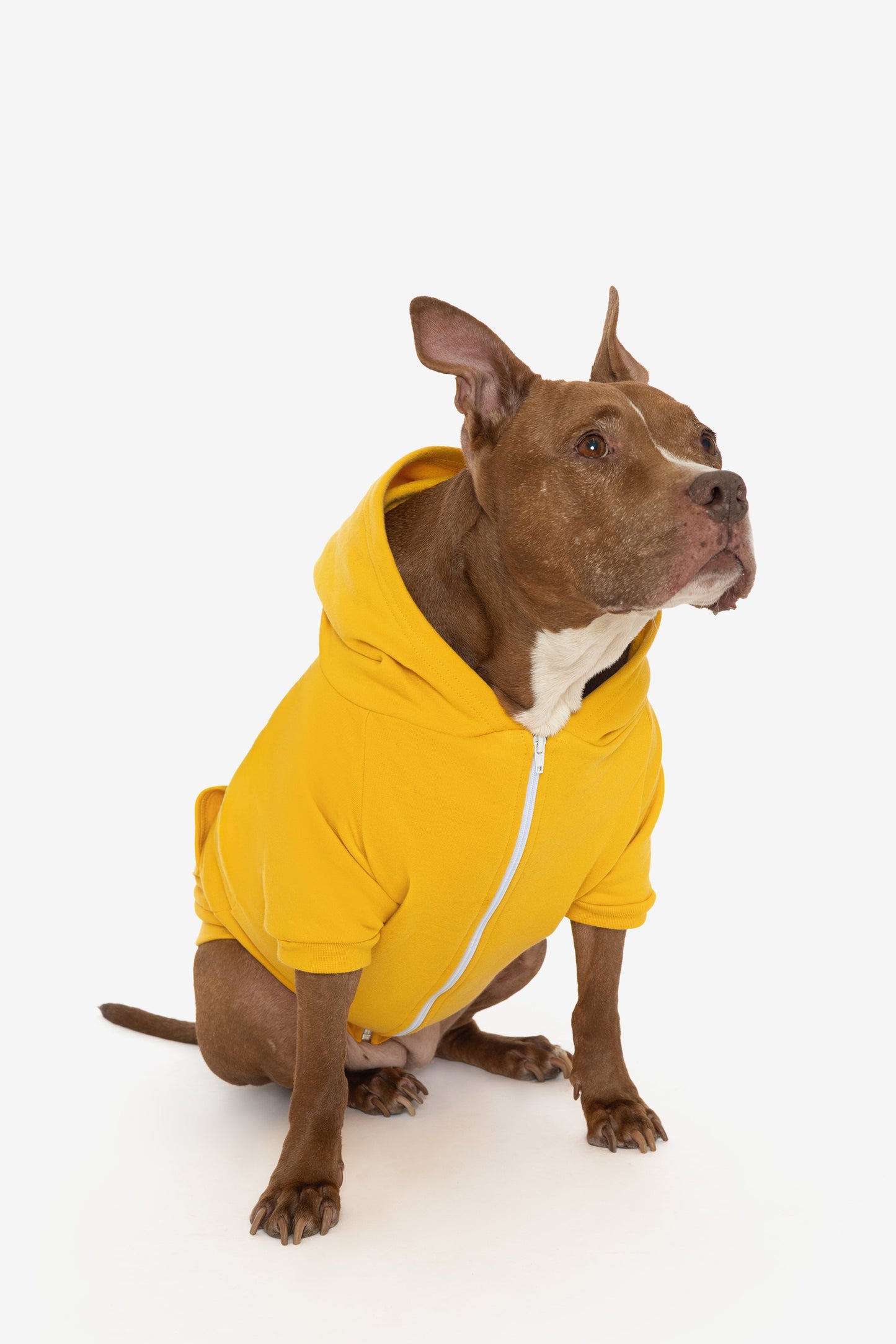 FF997 - Flex Fleece Dog Zip Hoodie