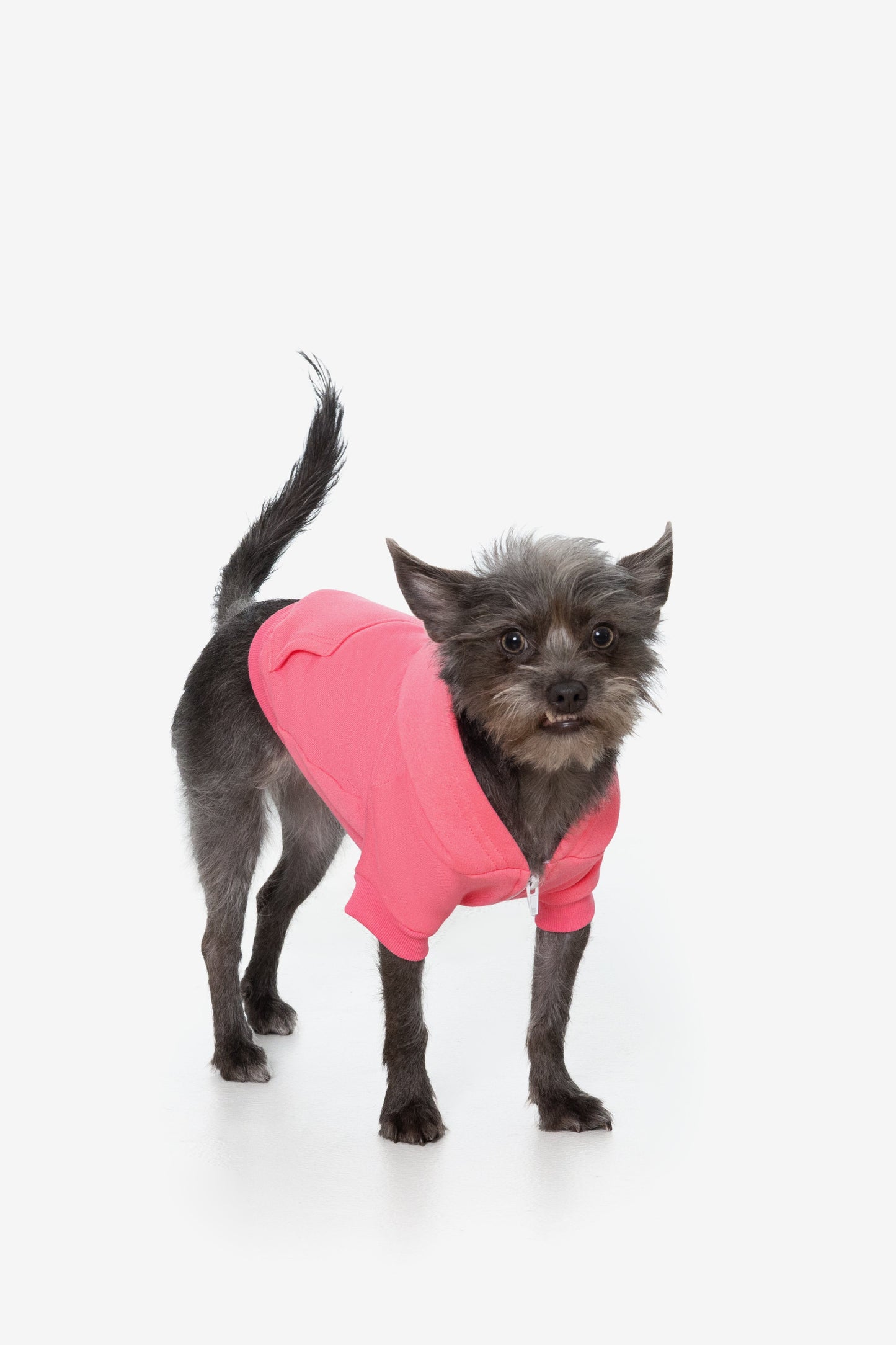 FF997 - Flex Fleece Dog Zip Hoodie