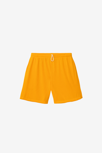 PRM442 - Pro Mesh Gym Shorts