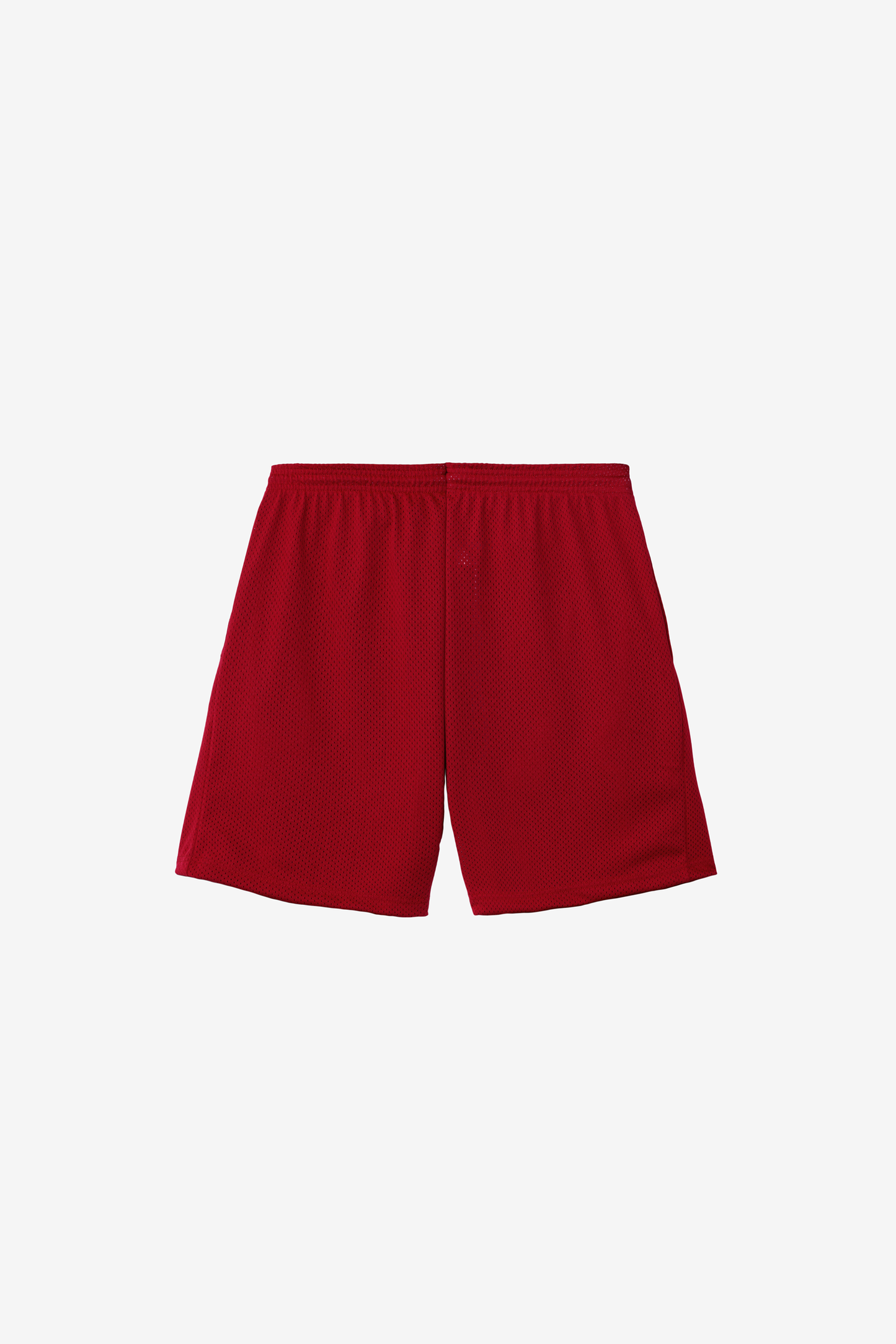 PRM442 - Pro Mesh Gym Shorts